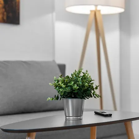 Apartament Roth Solingen-hbf *